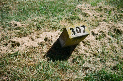 121119_lomo_trip_lomo400_smallpoxgrave_120925