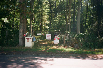 130114_lomo_af2_ektar100_birdfarm_120925