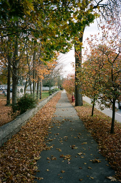 130325_lomo_xa2_portra160_autumnsidewalk_130130