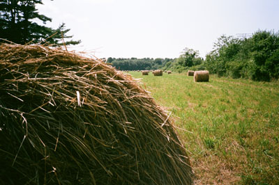 130610_lomo_xa2_superia400_hayrolls_120925