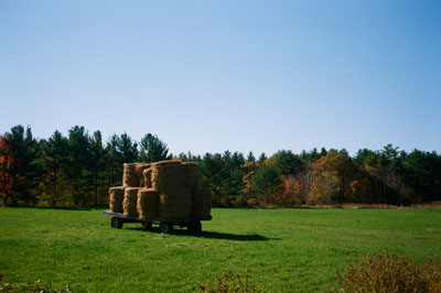 131111_lomo_trip35_lomo400_haybales_131029