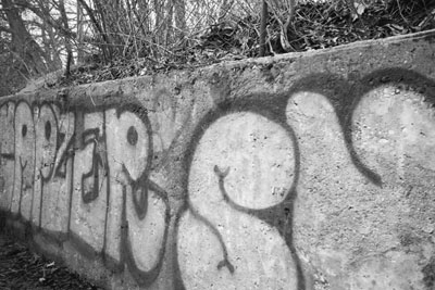 140201_lomo_xa2_kentmere400_graffiti_130628