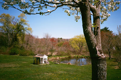 150501_lomo_xa2_superia400_smallhouse_130610