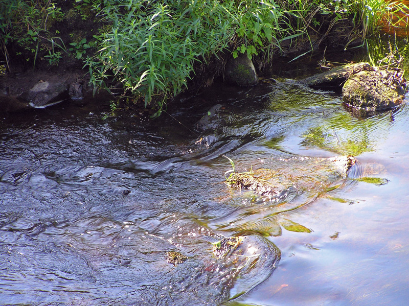 muddywater