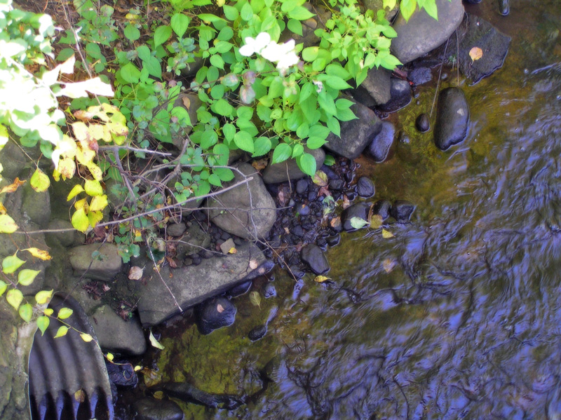 watertube